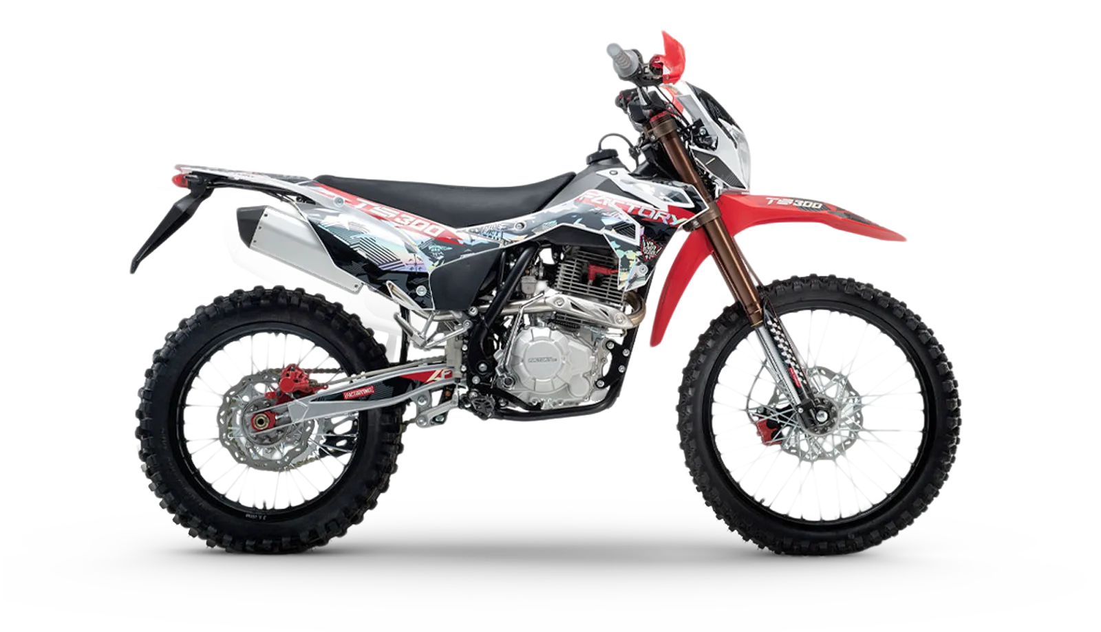 TS 300CC